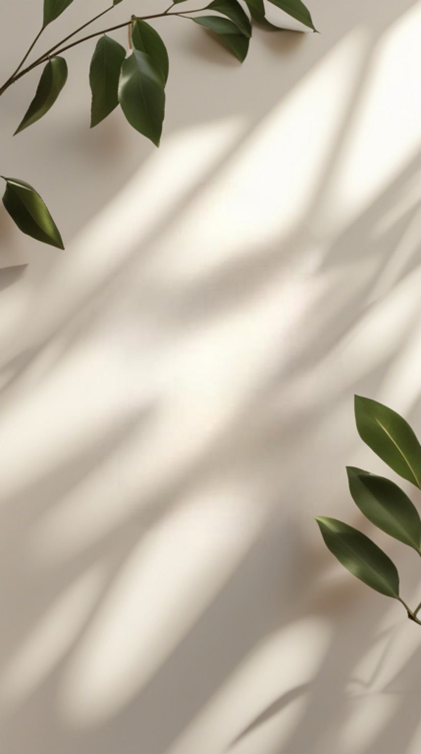 サロンイメージ